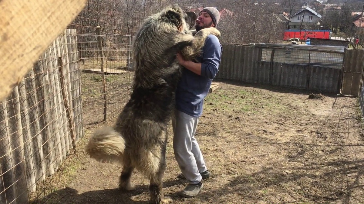 Просто для понимания размера.