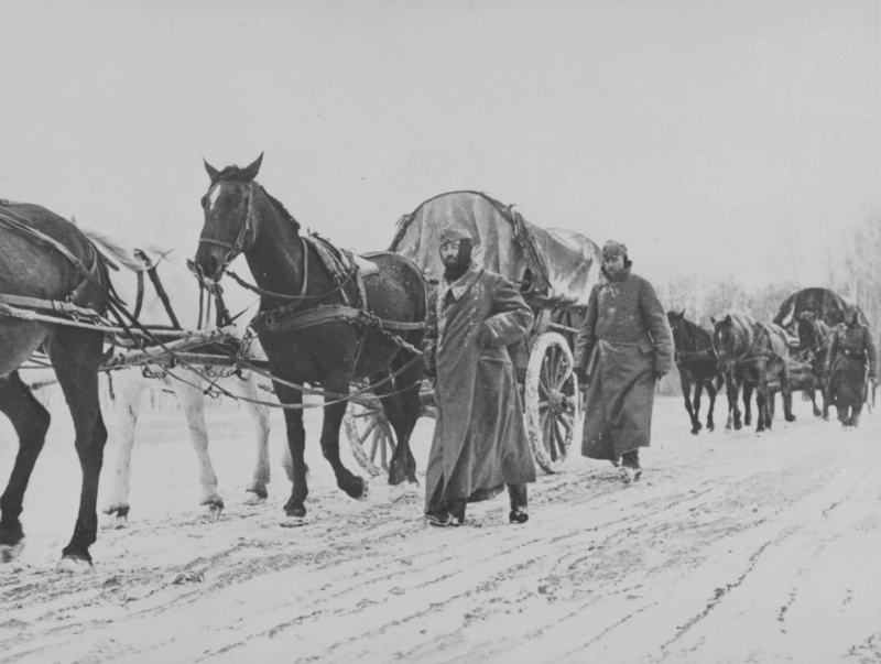 ​Немецкий обоз на заснеженной дороге во время наступления на Москву waralbum.ru - На подступах к Москве | Военно-исторический портал Warspot.ru