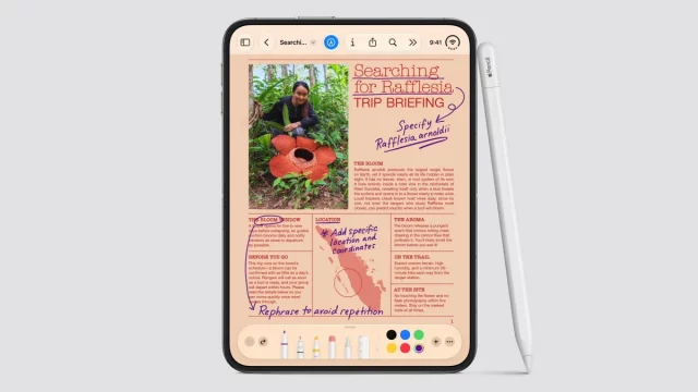 Поддержка Apple Pencil в складном iPhone Duo | DGL.RU