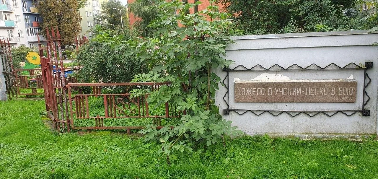 В Калининграде перепутали слова Суворова на памятнике, заменив «русский» на «россиянин»