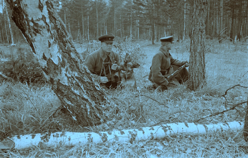 Пограничники СССР: как история влияет на восприятие современных реалий
