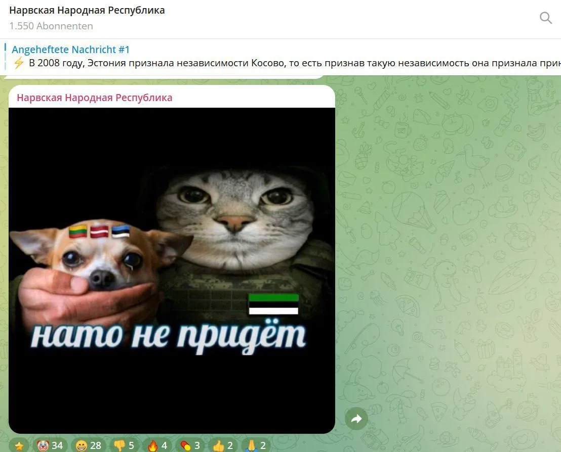 «Русские, хватайте оружие»: Эстонию встряхнули провокационные плакаты