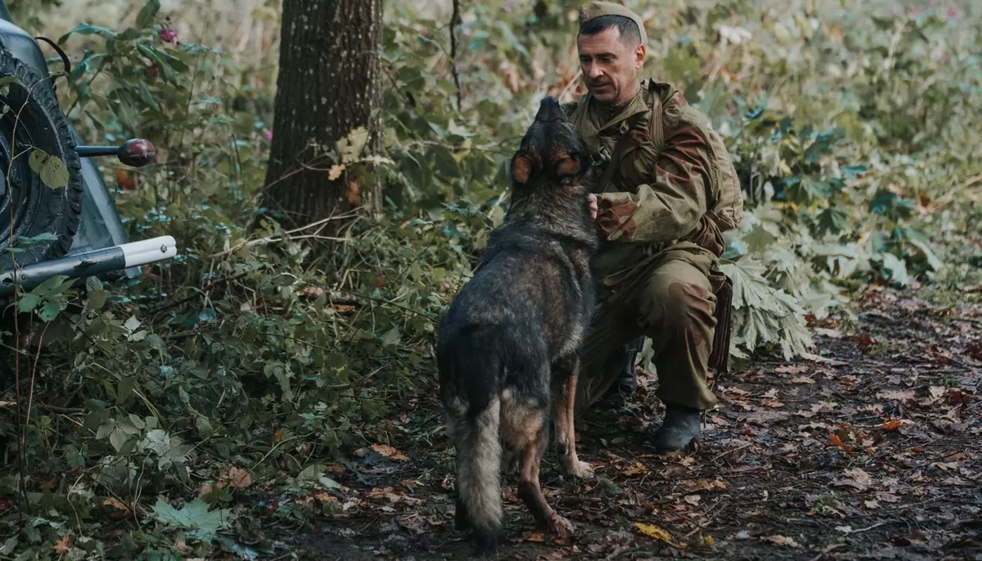 НТВ снимает продолжение военной драмы Солдат по кличке Рекс